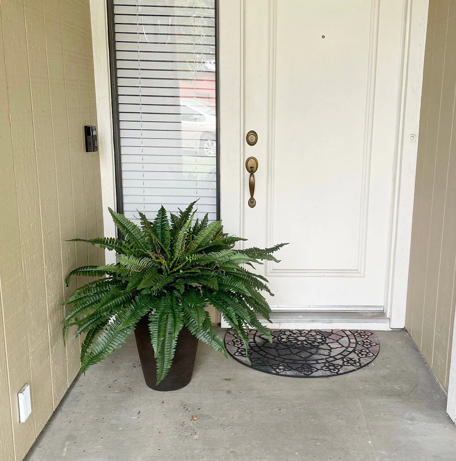 【𝐎𝐟𝐟𝐢𝐜𝐢𝐚𝐥 𝐔𝐒 𝐒𝐭𝐨𝐫𝐞】🏡🌿 𝐀𝐫𝐭𝐢𝐟𝐢𝐜𝐢𝐚𝐥 𝐁𝐨𝐬𝐭𝐨𝐧 𝐅𝐞𝐫𝐧 · 𝐔𝐕-𝐑𝐞𝐬𝐢𝐬𝐭𝐚𝐧𝐭 𝐋𝐢𝐟𝐞𝐥𝐢𝐤𝐞 𝐅𝐚𝐮𝐱 𝐏𝐥𝐚𝐧𝐭 · 🌱𝐅𝐮𝐥𝐥 & 𝐍𝐚𝐭𝐮𝐫𝐚𝐥 𝐆𝐫𝐞𝐞𝐧𝐞𝐫𝐲 𝐟𝐨𝐫 𝐈𝐧𝐝𝐨𝐨𝐫 & 𝐎𝐮𝐭𝐝𝐨𝐨𝐫 𝐃𝐞𝐜𝐨𝐫 - Image 13