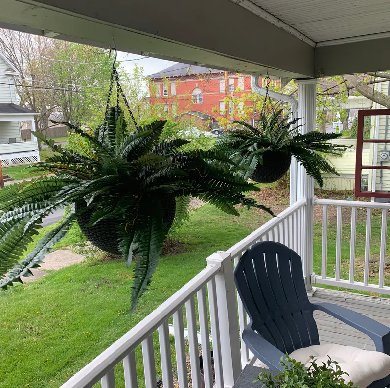 【𝐎𝐟𝐟𝐢𝐜𝐢𝐚𝐥 𝐔𝐒 𝐒𝐭𝐨𝐫𝐞】🏡🌿 𝐀𝐫𝐭𝐢𝐟𝐢𝐜𝐢𝐚𝐥 𝐁𝐨𝐬𝐭𝐨𝐧 𝐅𝐞𝐫𝐧 · 𝐔𝐕-𝐑𝐞𝐬𝐢𝐬𝐭𝐚𝐧𝐭 𝐋𝐢𝐟𝐞𝐥𝐢𝐤𝐞 𝐅𝐚𝐮𝐱 𝐏𝐥𝐚𝐧𝐭 · 🌱𝐅𝐮𝐥𝐥 & 𝐍𝐚𝐭𝐮𝐫𝐚𝐥 𝐆𝐫𝐞𝐞𝐧𝐞𝐫𝐲 𝐟𝐨𝐫 𝐈𝐧𝐝𝐨𝐨𝐫 & 𝐎𝐮𝐭𝐝𝐨𝐨𝐫 𝐃𝐞𝐜𝐨𝐫 - Image 14