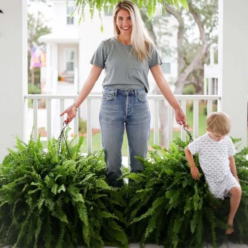 【𝐎𝐟𝐟𝐢𝐜𝐢𝐚𝐥 𝐔𝐒 𝐒𝐭𝐨𝐫𝐞】🏡🌿 𝐀𝐫𝐭𝐢𝐟𝐢𝐜𝐢𝐚𝐥 𝐁𝐨𝐬𝐭𝐨𝐧 𝐅𝐞𝐫𝐧 · 𝐔𝐕-𝐑𝐞𝐬𝐢𝐬𝐭𝐚𝐧𝐭 𝐋𝐢𝐟𝐞𝐥𝐢𝐤𝐞 𝐅𝐚𝐮𝐱 𝐏𝐥𝐚𝐧𝐭 · 🌱𝐅𝐮𝐥𝐥 & 𝐍𝐚𝐭𝐮𝐫𝐚𝐥 𝐆𝐫𝐞𝐞𝐧𝐞𝐫𝐲 𝐟𝐨𝐫 𝐈𝐧𝐝𝐨𝐨𝐫 & 𝐎𝐮𝐭𝐝𝐨𝐨𝐫 𝐃𝐞𝐜𝐨𝐫 - Image 3
