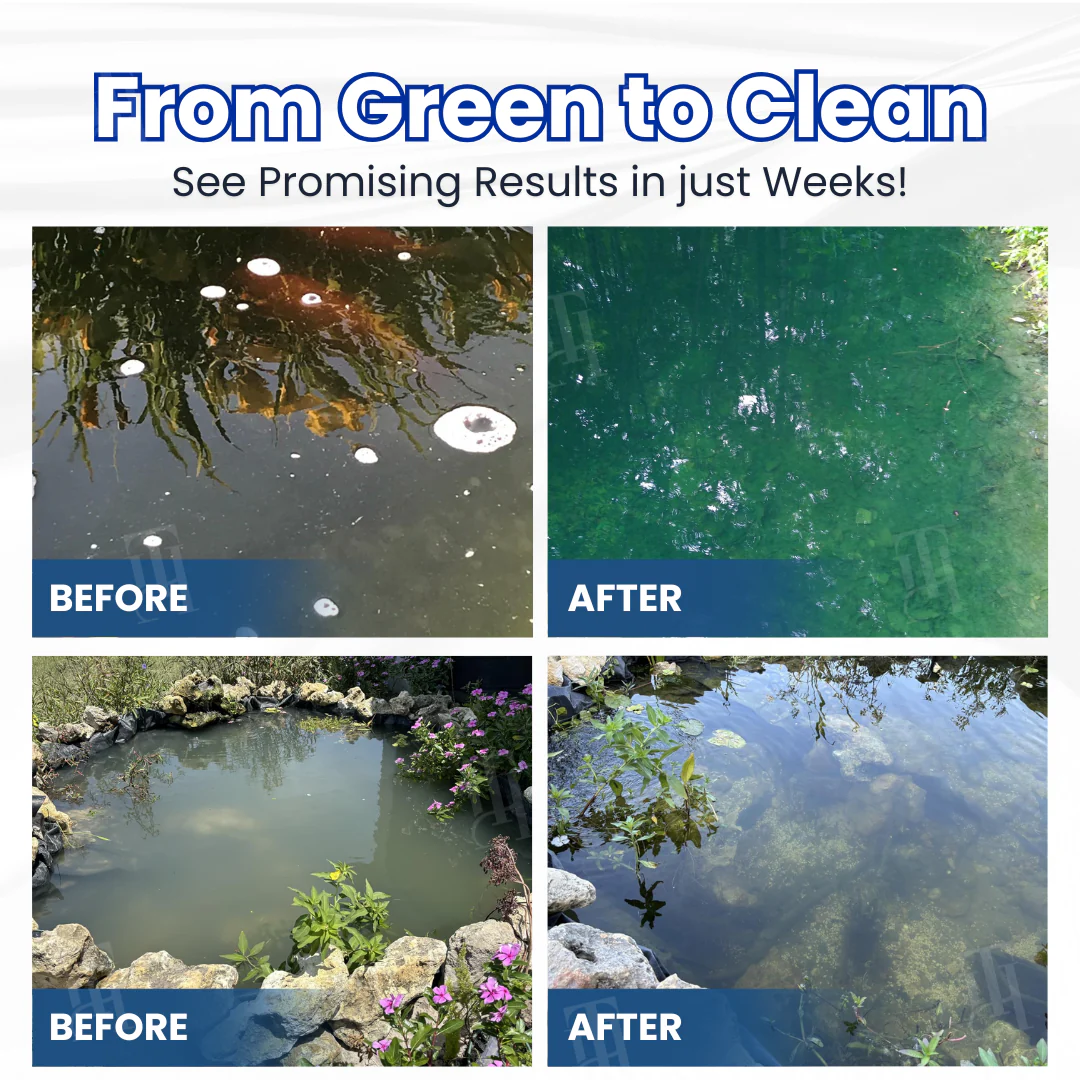 ✨ From Green to Clean Overnight! |⏱️ Crystal Clear in 24 Hours! | DeeVoo® Aqua-Guardian Pro Formula - Image 2